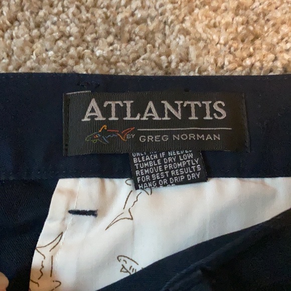 Blue shorts Men’s - Picture 2 of 6